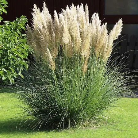 Juwel Von Koserow! Mit Terrasse Und Kleinem Garten Lejlighed Koserow