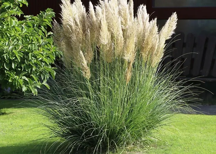 Juwel Von Koserow! Mit Terrasse Und Kleinem Garten شقة Koserow